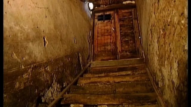 Amazon Kadını Milf Hatun Ormanda Amcığını Deldirdi